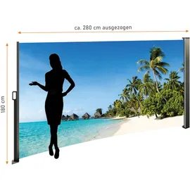 Lemodo Seitenmarkise 180 x 185 cm Blau Stahl