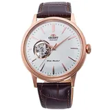 Orient Standard RN-AG0004S Semi Skelett Mechanisch Gemacht IN Japan Neu