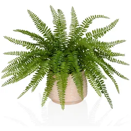 HJH Office Kunstpflanze Proliferum / grün