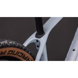 Cube Reaction C:62 Race 2026 29 Zoll RH 42 cm foggrey 'n' white