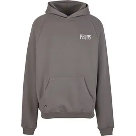 pequs Kapuzensweatshirt grau L