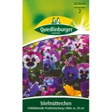 Quedlinburger Stiefmütterchen ''frühblühende Prachtmischung''