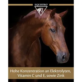 Vétoquinol Equistro Elektrolyt 7 3 kg