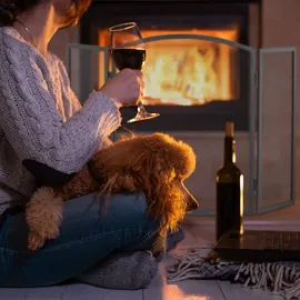 Relaxdays Funkenschutzgitter 62 x 96 cm schwarz