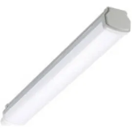Philips Ledinaire waterproof WT060C 1 LED grau