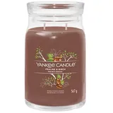 Yankee Candle Signature Praline & Birch 567 g