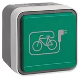 Berker Steckdose SCHUKO mit grünem Klappdeckel und Symbol E-Bike, grau/lichtgrau (47403533)