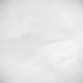 PRO PLUS Bodenplane ohne Weichmacher, 2,5x5m, LDPE 0,03mm