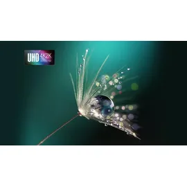 Acer H6828BD DLP Weiß