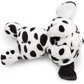 NICI GLUBSCHIS Dalmatiner Dottino
