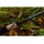 Korum Limitless Feederrute, 4,3 m, 220 g,