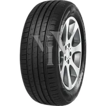 MINERVA  F209 225/55 R16 99V XL