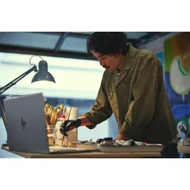 HP Envy 17 17-cw0606ng Intel Core i7-13700H 16 GB RAM 1 TB SSD Win11 Home