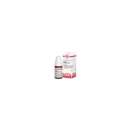 DHU-Arzneimittel NATRIUM Carbonicum C 30 Globuli