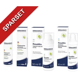 Dermasence Hyalusome Aktiv.fruchts.creme & Rosamin Pflege+serum