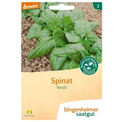 Spinat - Verdil