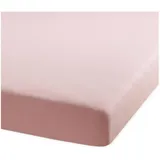 BettwarenShop Spannbettlaken Jersey-Elasthan 120 x 200 - 130 x 220 cm rosa