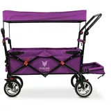 FUXTEC Fuxlife Smarter Bollerwagen FX-CT800 Purpur