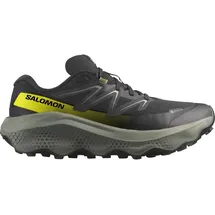 Salomon Ultra Flow 2 Herren Black / Sedona Sage / Incaberry 45