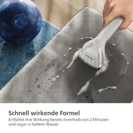 Philips Fleckenentferner 1 l