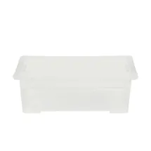 Rotho Aufbewahrungsbox Evo Easy 30 l Kunststoff Transparent
