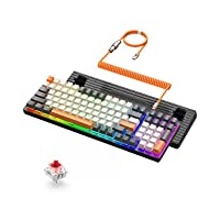 ZIYOU LANG K3 PRO Mechanische Gaming-Tastatur, RGB, schwarz beleuchtete, kabelgebundene Tastatur, roter Schalter, 100 Tasten mit Nummernblock, USB-Spiralkabel Typ-C auf USB-A für Gamer-Schreibkraft