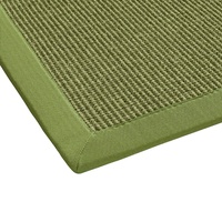 BODENMEISTER Sisal-Teppich modern hochwertige Bordüre Flachgewebe, verschiedene Farben und Größen, Variante: grün, 200x290