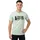 Mammut Trovat silver sage M