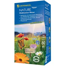 Kiepenkerl Profi-Line Nature Wildblumen-Wiese 664302, 0,5KG - Blumensamenmischung aus Wildblumen, Kräutern und Gräsern und einem Inhalt für 80 qm - Saatgut