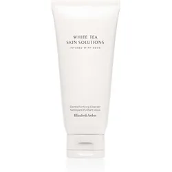 Elizabeth Arden Skin Solutions Gentle Purifying Cleanser