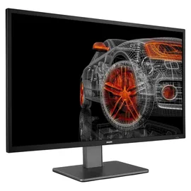 Philips P-Line 439P1/00 43"