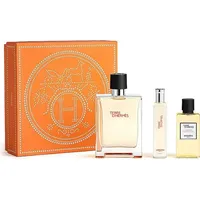 Hermès Terre d'Hermes Eau de Toilette 100 ml + Shower Gel 40 ml + Eau de Toilette 15 ml Geschenkset