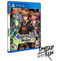 Wizards of Brandel - PS4 [US Version]