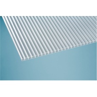 Einsteiger Polycarbonat Hohlkammerplatte Eco 1200 x 5000 x 16 mm - Klar - 2850683