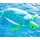 Westmann Pool Buddy Schildkröte Blau
