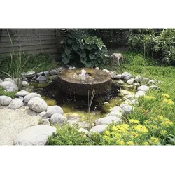 PONTEC Brunnen-Pumpe »PondoCompact 3000«, 55 W, Fördermenge: 3000 l/h - schwarz