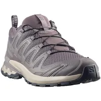 Salomon XA Pro 3D V9 Herren Dark Gull Gray/Cloudburst/Asphalt 46