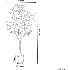 Beliani Kunstpflanze Fig Tree 162 cm, Grün