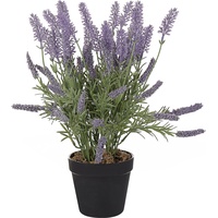 Beliani Beliani, Kunstpflanzen, Lavender Plant