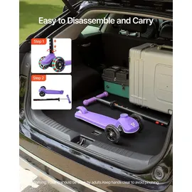 Vevor Scooter Lila