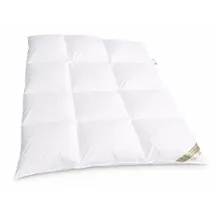 Betten Hofmann Winter Daunenbett Bettdecke Daunendecke 3x4 155x200 cm 100% neue Daunen