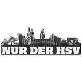 Hamburger SV HSV Magnet Skyline Metall