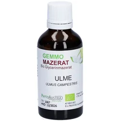 PhytoAustria Gemmo Mazerat Ulme Bio Glycerinmazerat