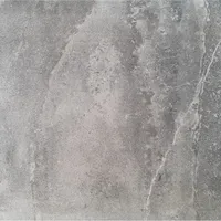 Eurostone Terrassenplatte Feinsteinzeug Aspen Anthrazit glasiert matt 60 x 60 x 2 cm 2 St.