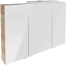Fackelmann B.Brillant 100 cm braun LED