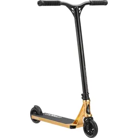 Blunt Prodigy X Gold