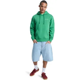 QUIKSILVER Salt Water Graphic Hoodie Grün L