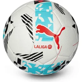 Puma Fussbälle, 5