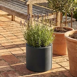 ethick Moderner Blumentopf Rund Ø 38 x 31 cm Anthrazit