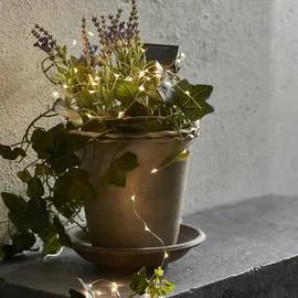 StarTrading LED Lichterkette Dew Drop 5 m Silber warmweiß